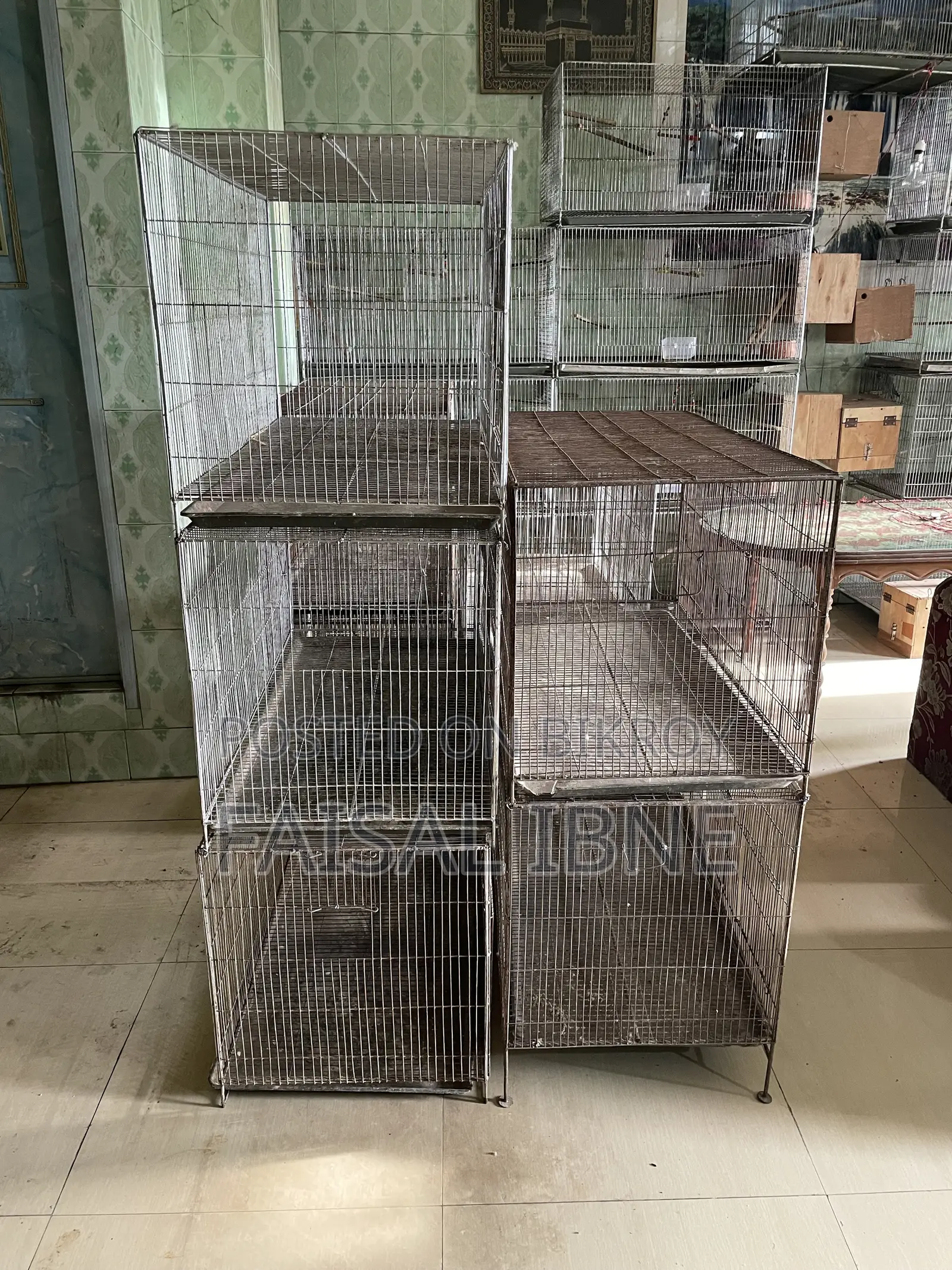 Bird Cage 18/36