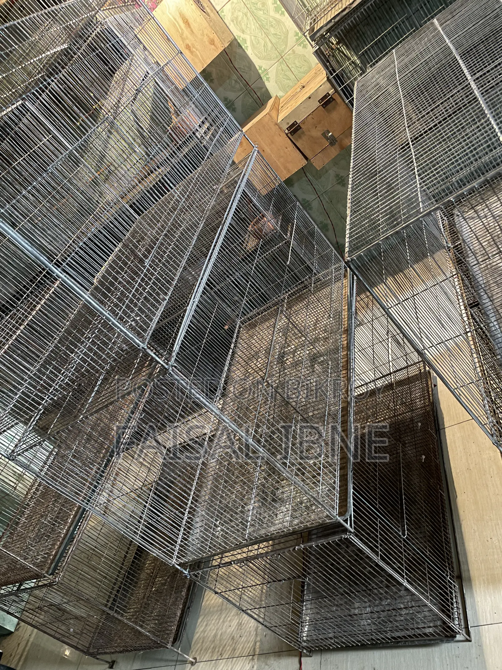 Bird Cage 18/36