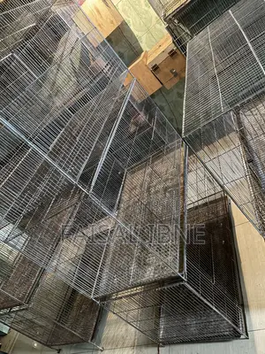 Bird Cage 18/36