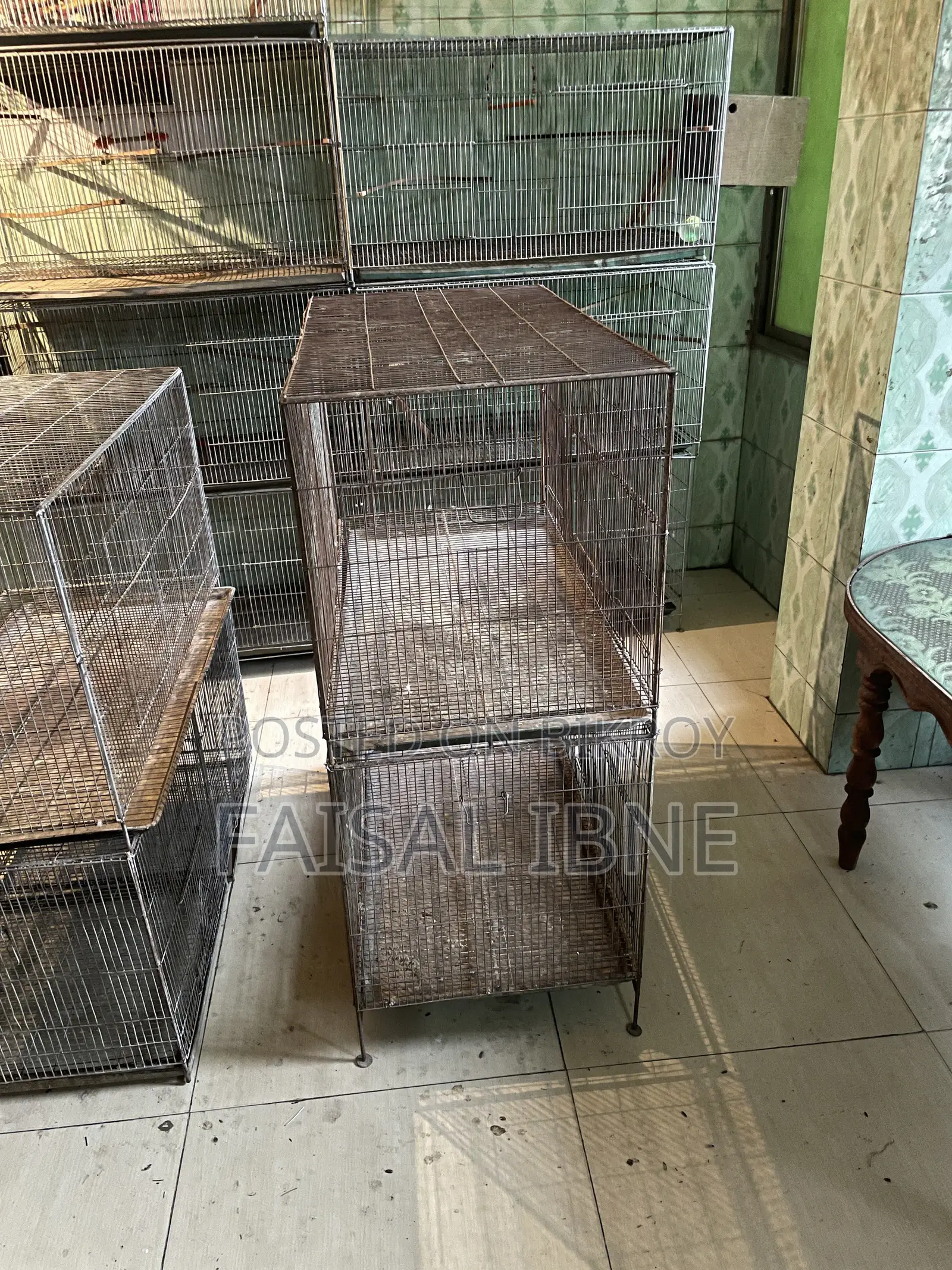 Bird Cage 18/36