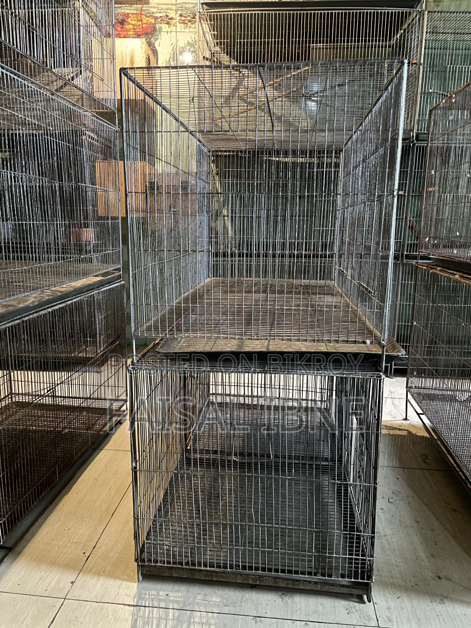 Bird Cage 18/36