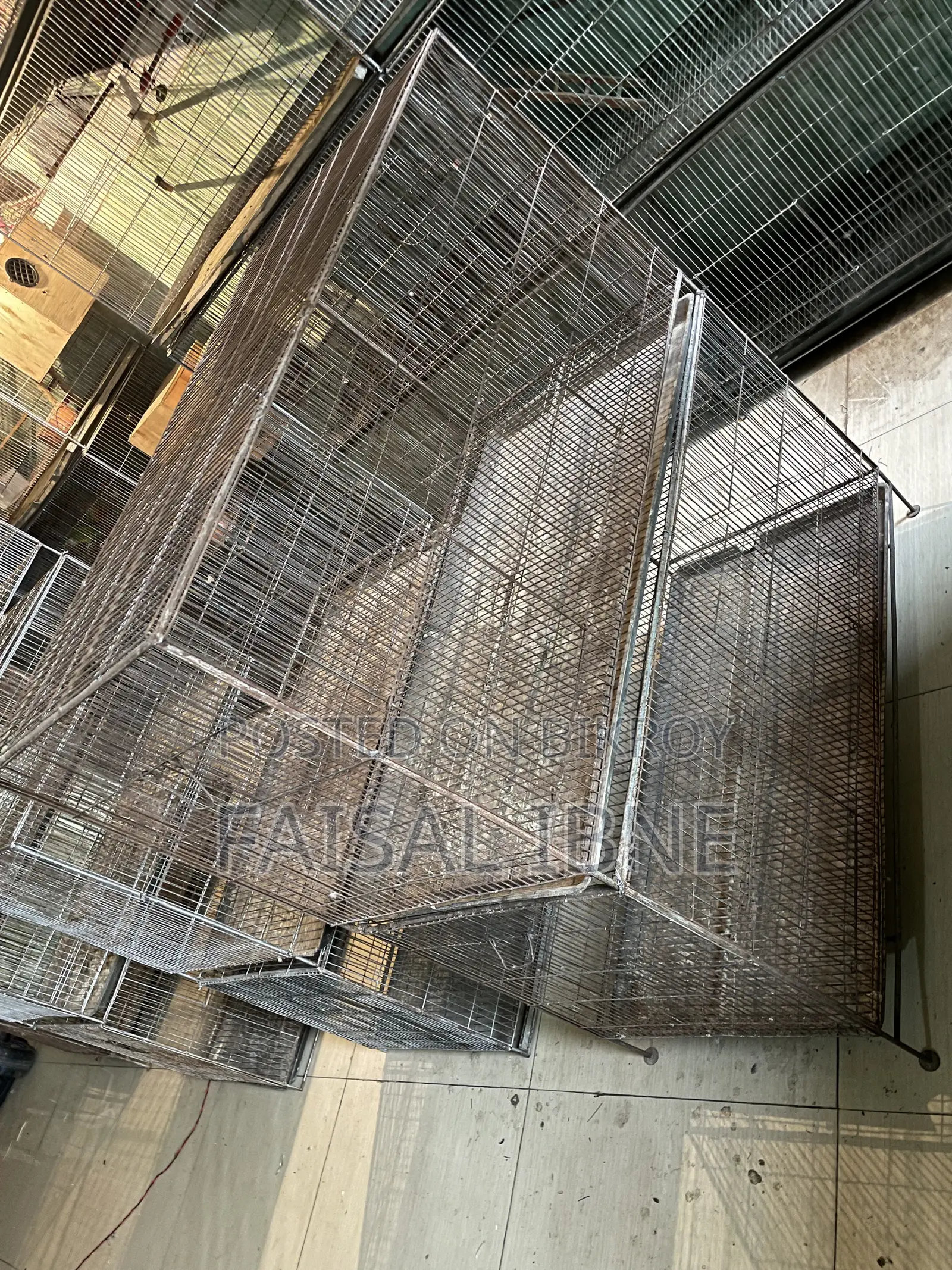 Bird Cage 18/36
