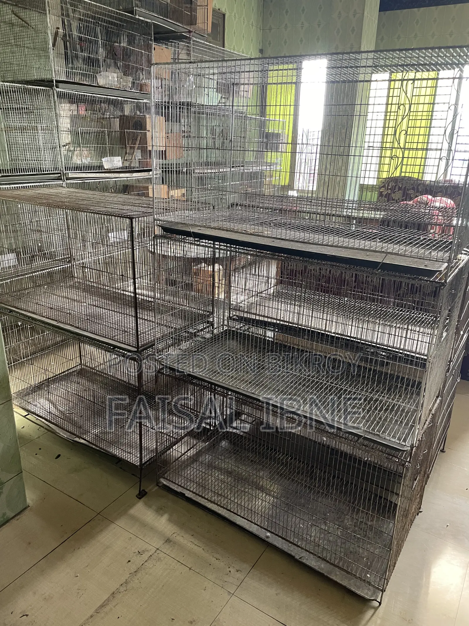 Bird Cage 18/36