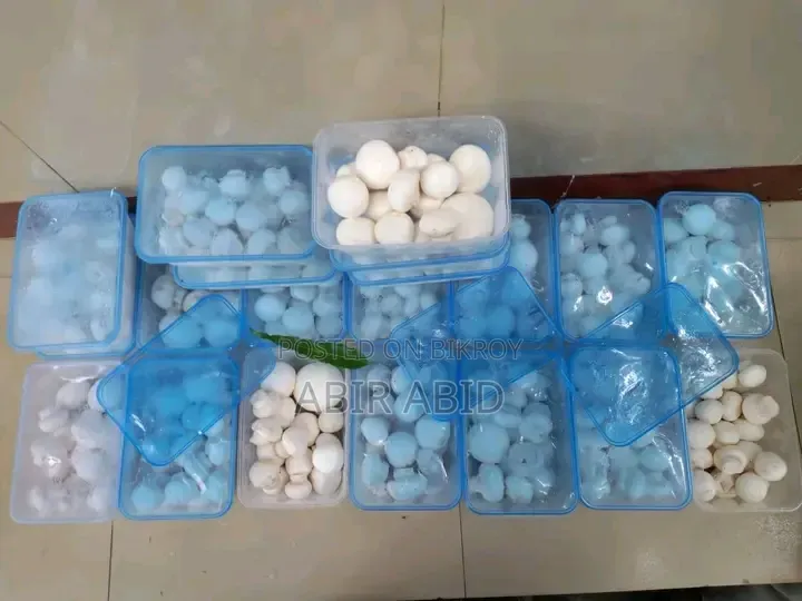 খবর মাশরুম বিক্রয় করা হবে