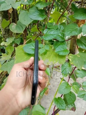 Xiaomi Poco M3 64 GB Black