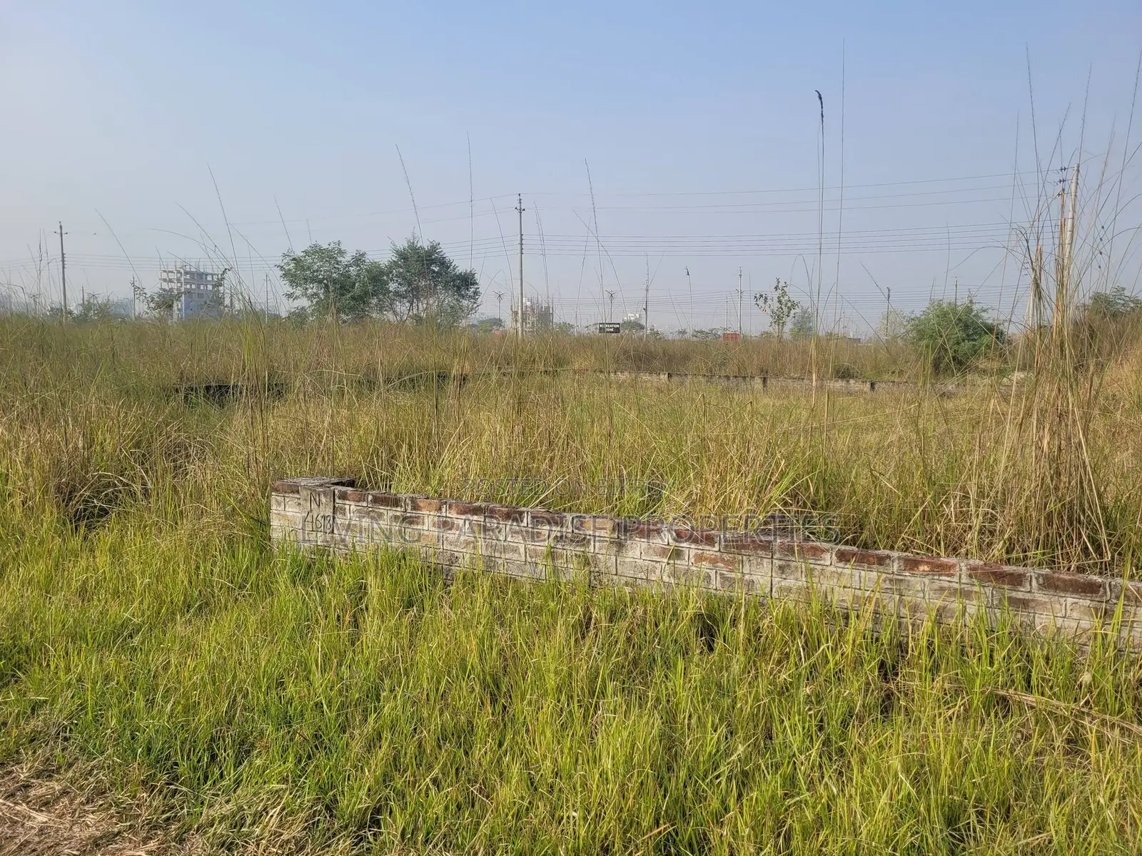 Block P || North Face || Serial 5300 || Urgent Sale Plot