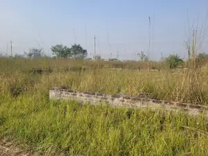 Block P || North Face || Serial 5300 || Urgent Sale Plot