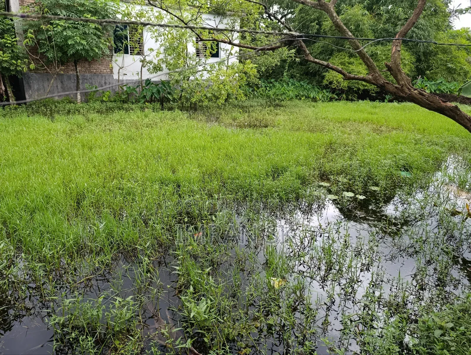 আবাসিক জমি