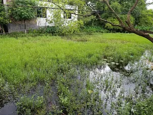 আবাসিক জমি