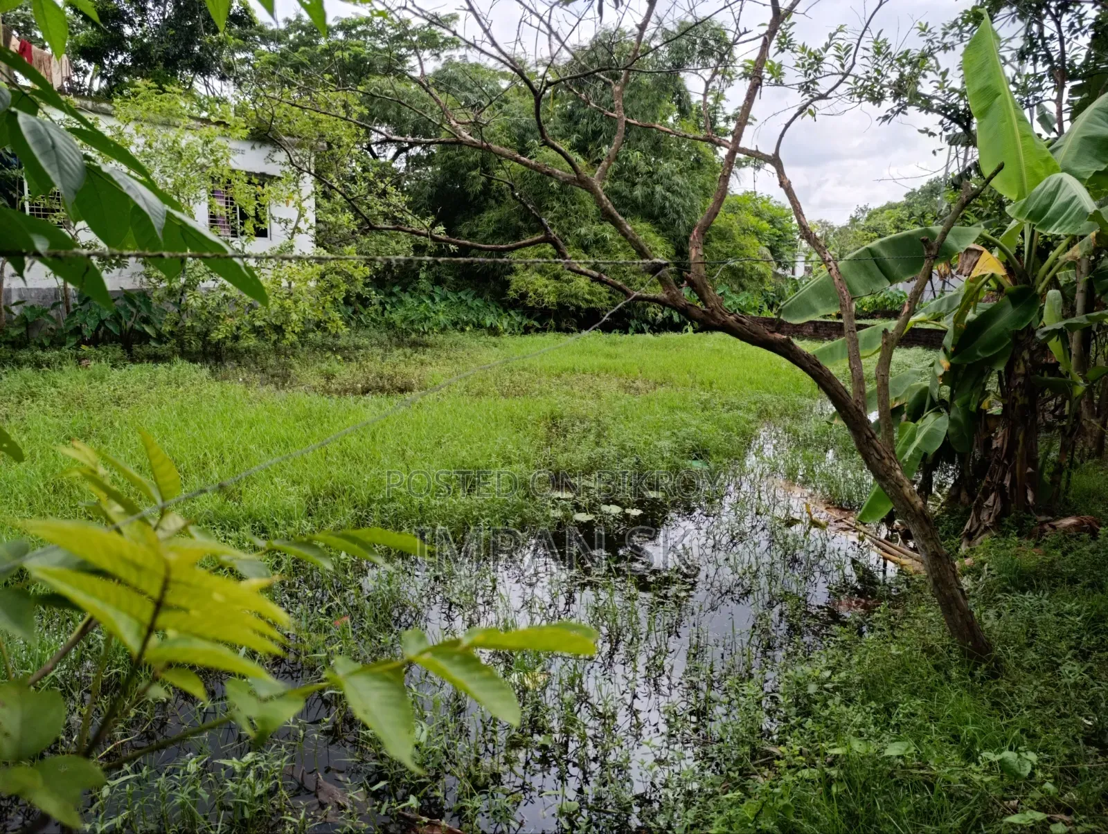 আবাসিক জমি