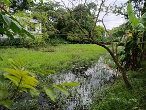 আবাসিক জমি
