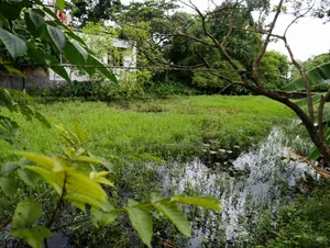 আবাসিক জমি