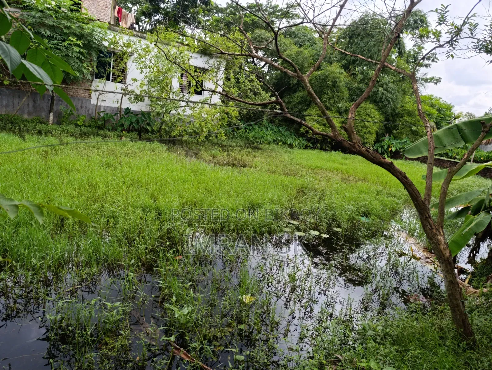 আবাসিক জমি
