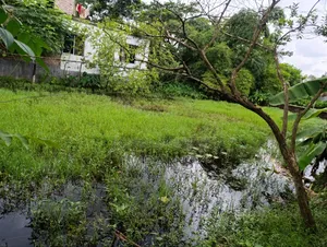 আবাসিক জমি