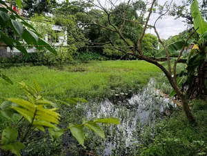আবাসিক জমি
