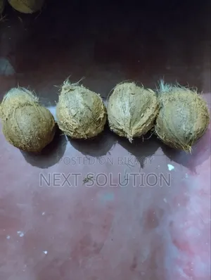 তাজা প্রিমিয়াম কোয়ালিটির ডাব বিক্রয়