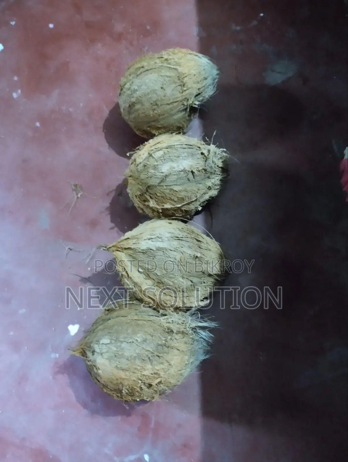 তাজা প্রিমিয়াম কোয়ালিটির ডাব বিক্রয়