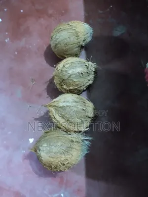 তাজা প্রিমিয়াম কোয়ালিটির ডাব বিক্রয়