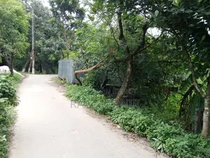 11 Katha Land for Sale Per Katha