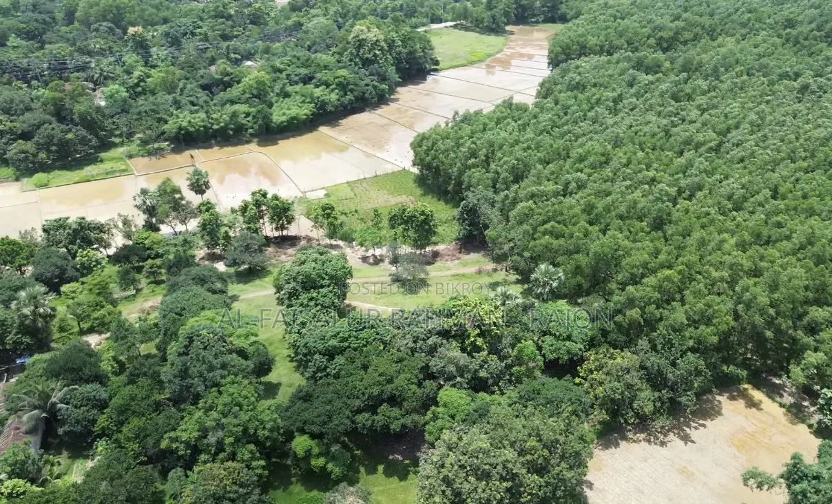 স্বপ্নের রিসোর্ট, ফার্মহাউস বা নিজের শান্তির ঠিকানা হতে পারে এই জমিটি