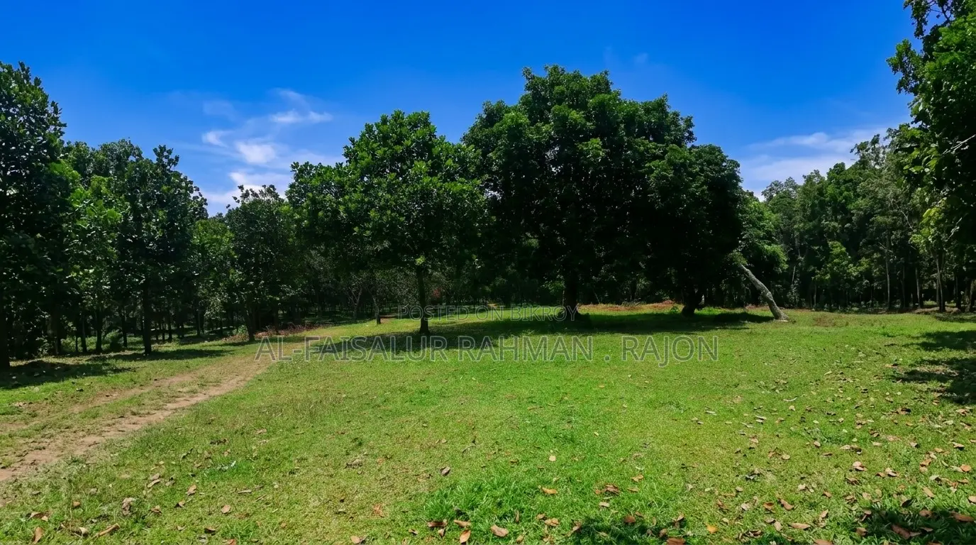 স্বপ্নের রিসোর্ট, ফার্মহাউস বা নিজের শান্তির ঠিকানা হতে পারে এই জমিটি