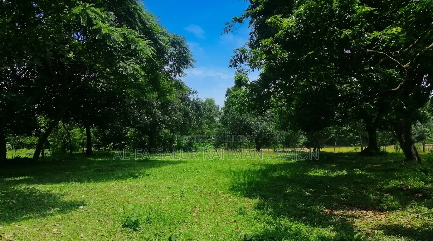 স্বপ্নের রিসোর্ট, ফার্মহাউস বা নিজের শান্তির ঠিকানা হতে পারে এই জমিটি
