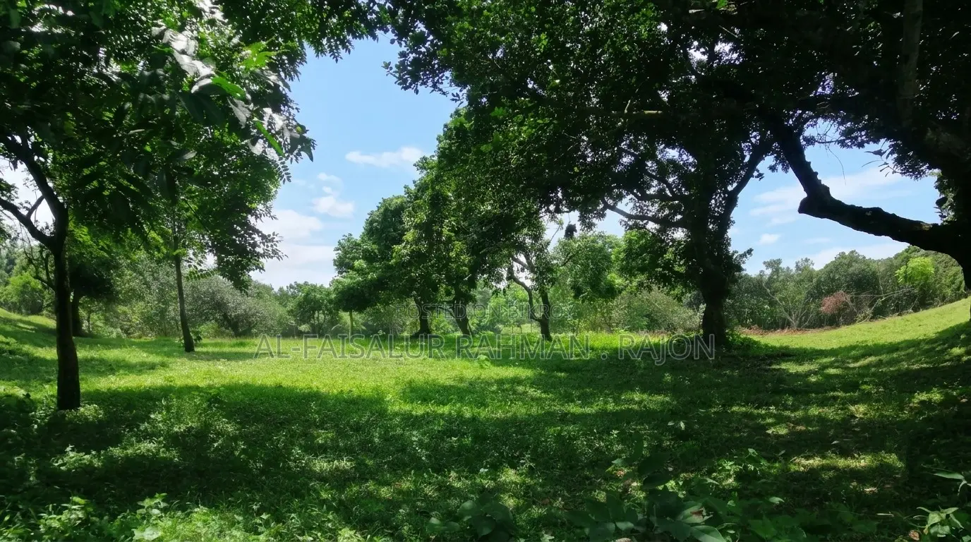 স্বপ্নের রিসোর্ট, ফার্মহাউস বা নিজের শান্তির ঠিকানা হতে পারে এই জমিটি