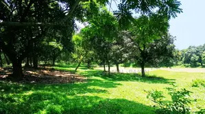 স্বপ্নের রিসোর্ট, ফার্মহাউস বা নিজের শান্তির ঠিকানা হতে পারে এই জমিটি
