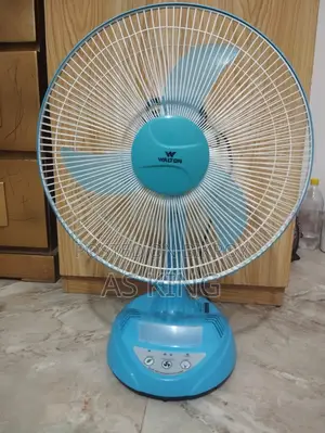Walton Fan (17")