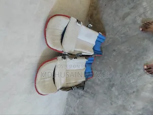 Cricket Helmet and Batting Pads