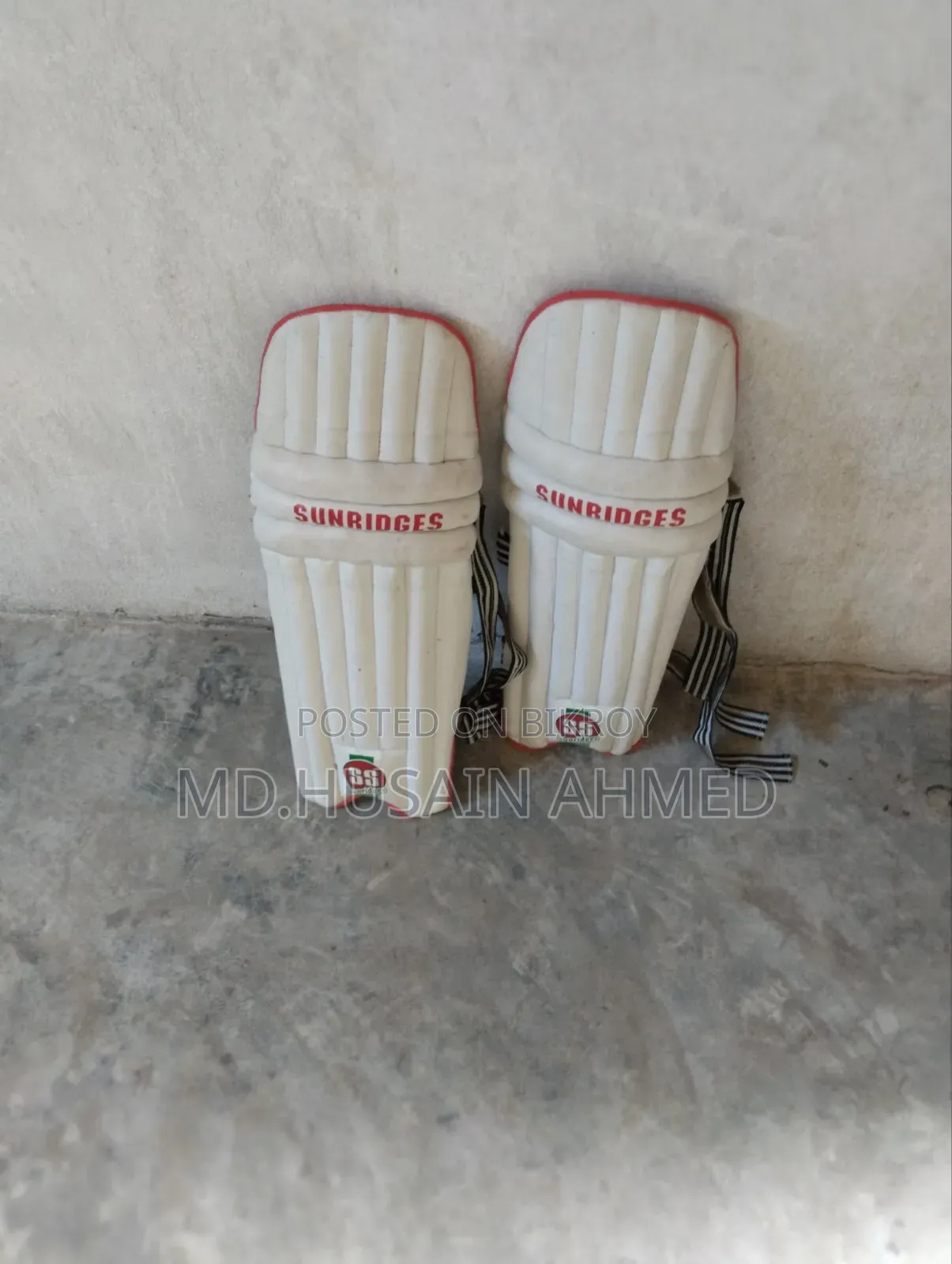 Cricket Helmet and Batting Pads