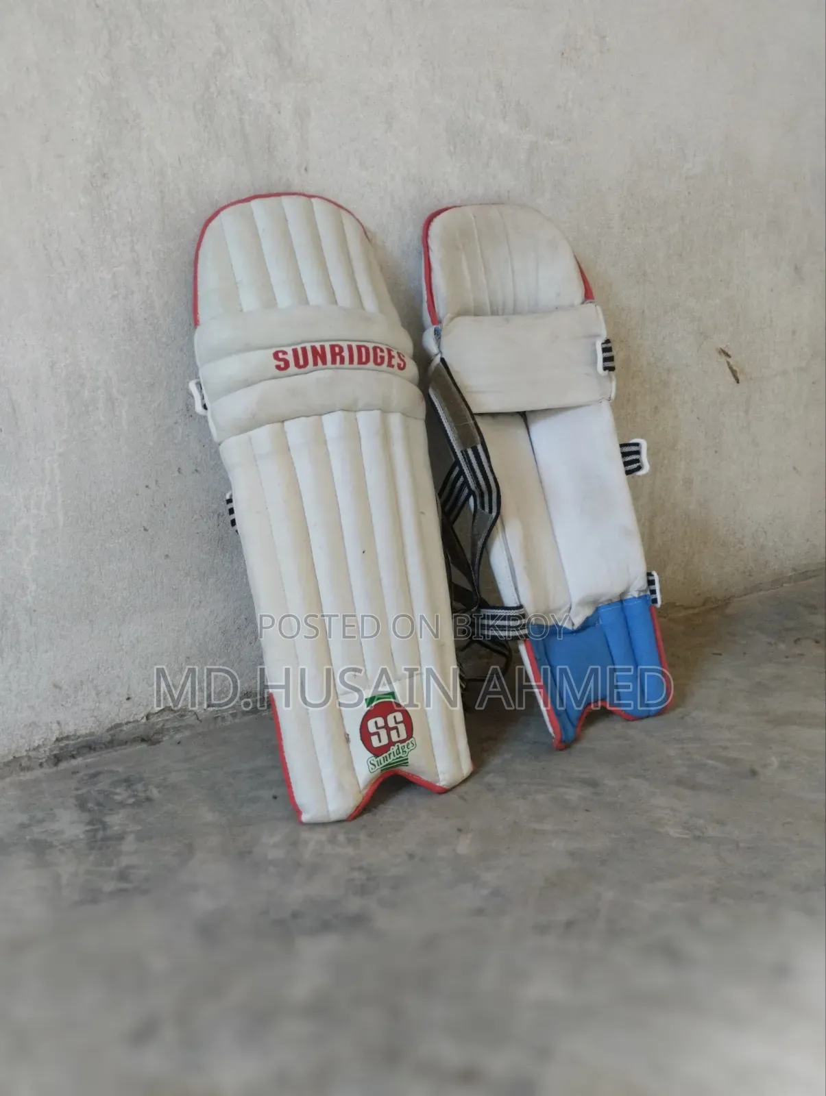 Cricket Helmet and Batting Pads