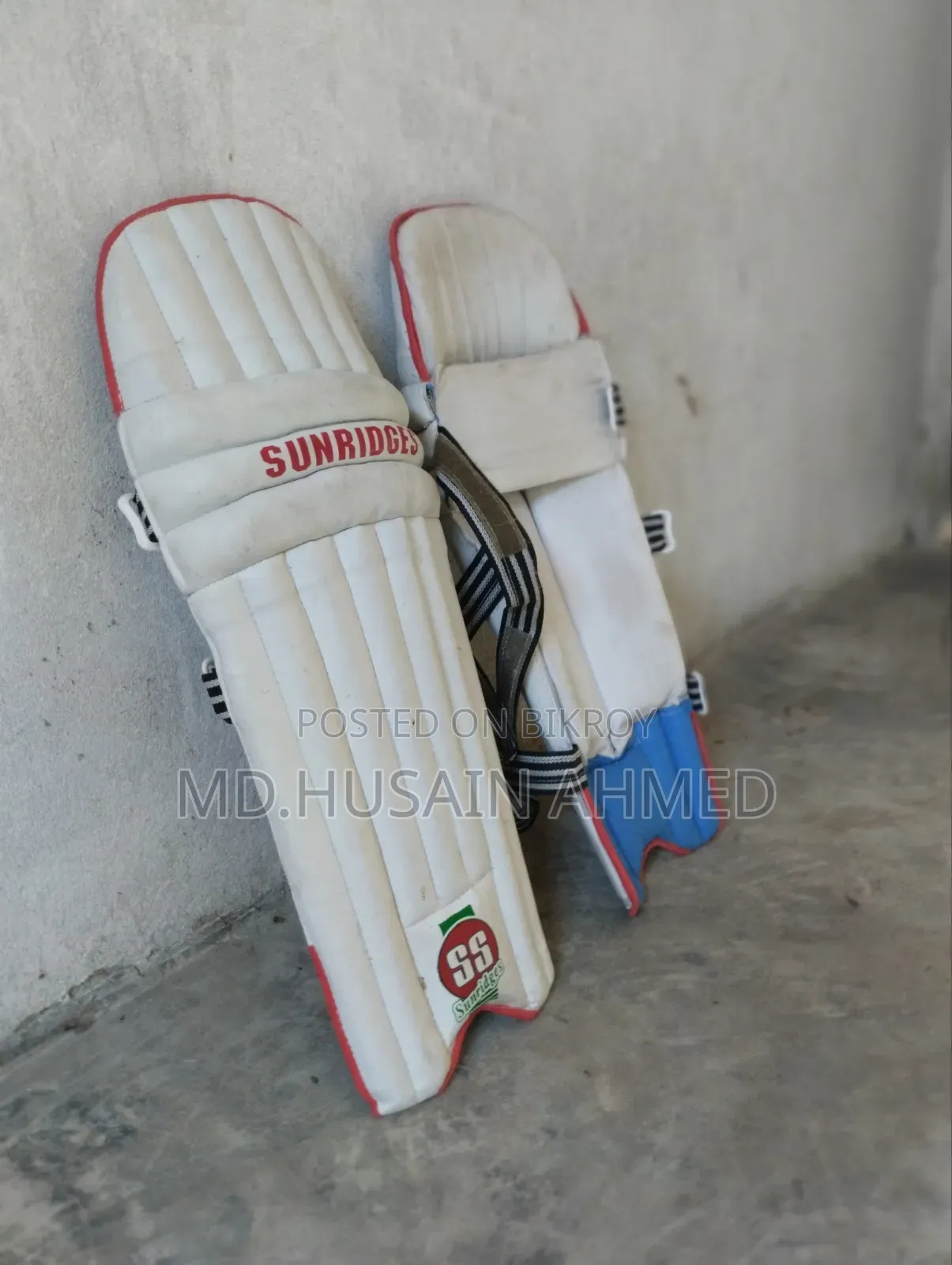 Cricket Helmet and Batting Pads