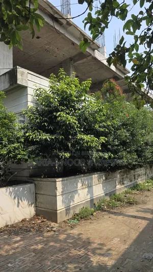 ৬টি বেডরুমের বাড়ি জানুয়ারি ০১, উত্তরার জন্য বিক্রি