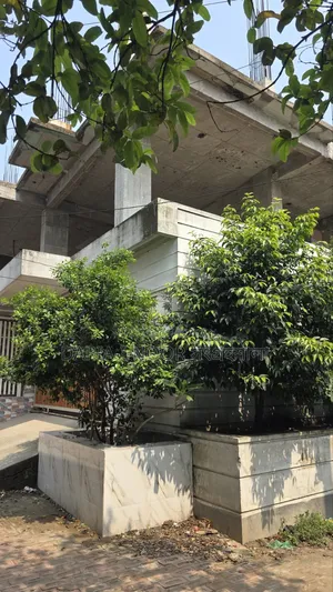 ৬টি বেডরুমের বাড়ি জানুয়ারি ০১, উত্তরার জন্য বিক্রি