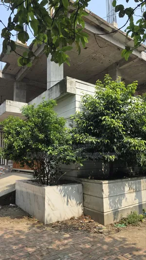 ৬টি বেডরুমের বাড়ি জানুয়ারি ০১, উত্তরার জন্য বিক্রি