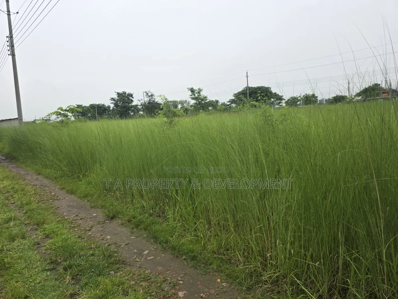 5 Katha || South Facing || N-Extension Plot Sale