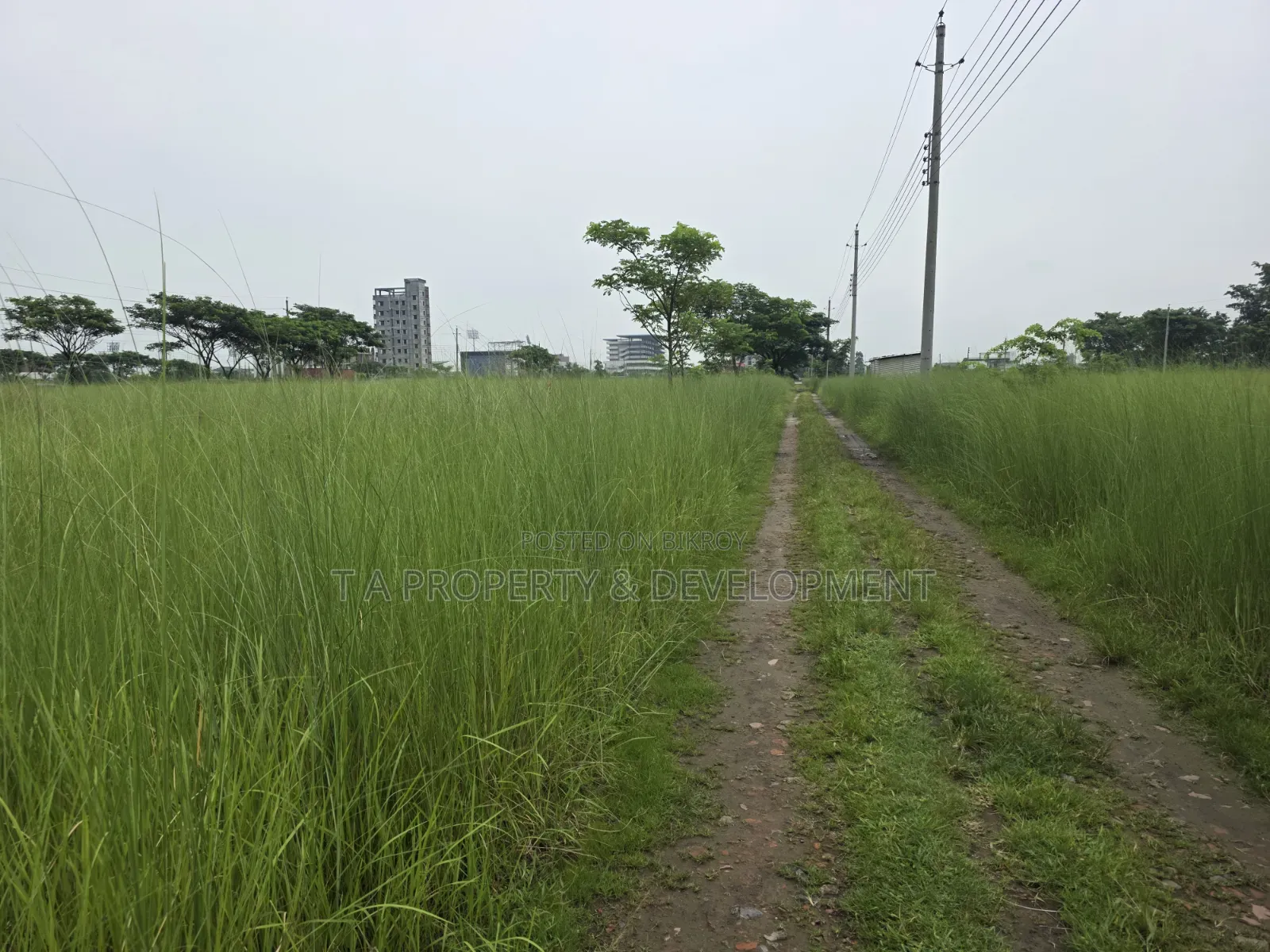 5 Katha || South Facing || N-Extension Plot Sale