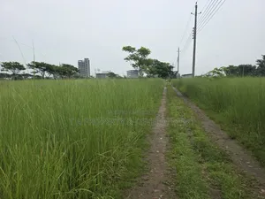 5 Katha || South Facing || N-Extension Plot Sale