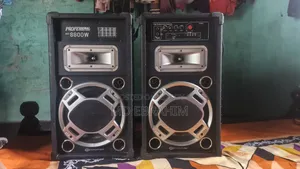 প্রফেশনাল ৮৮০০ডব্লিউ