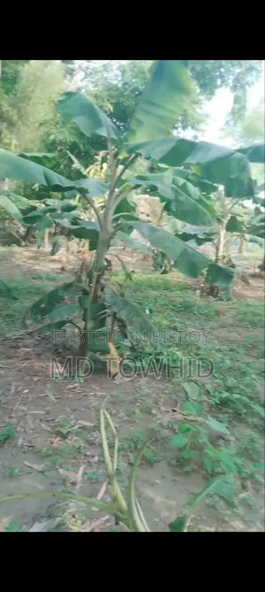8 Katha Land for Sale on Urgent Basis
