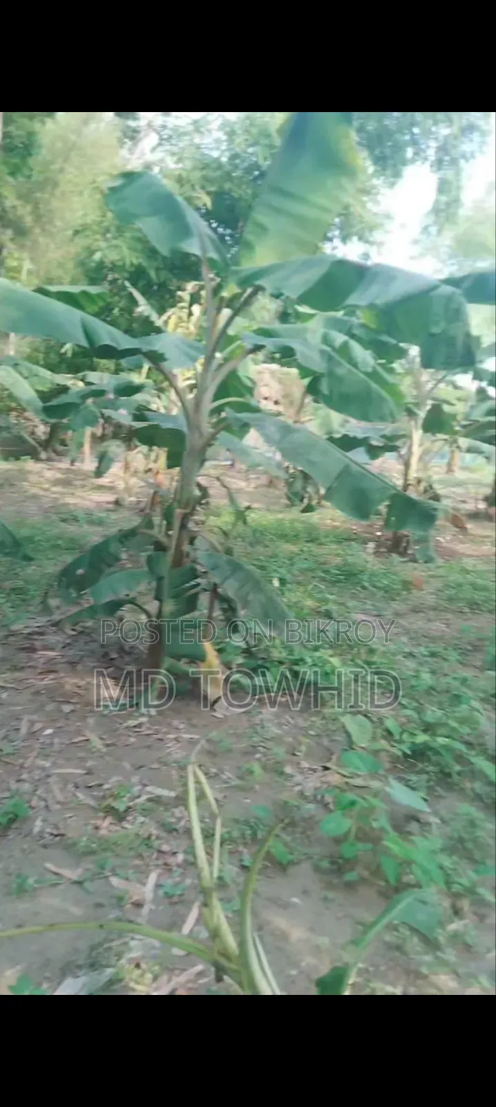 8 Katha Land for Sale on Urgent Basis