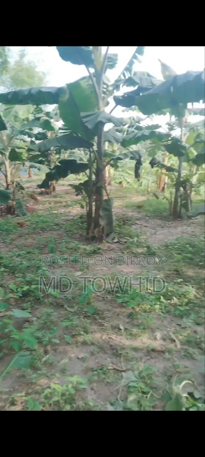 8 Katha Land for Sale on Urgent Basis