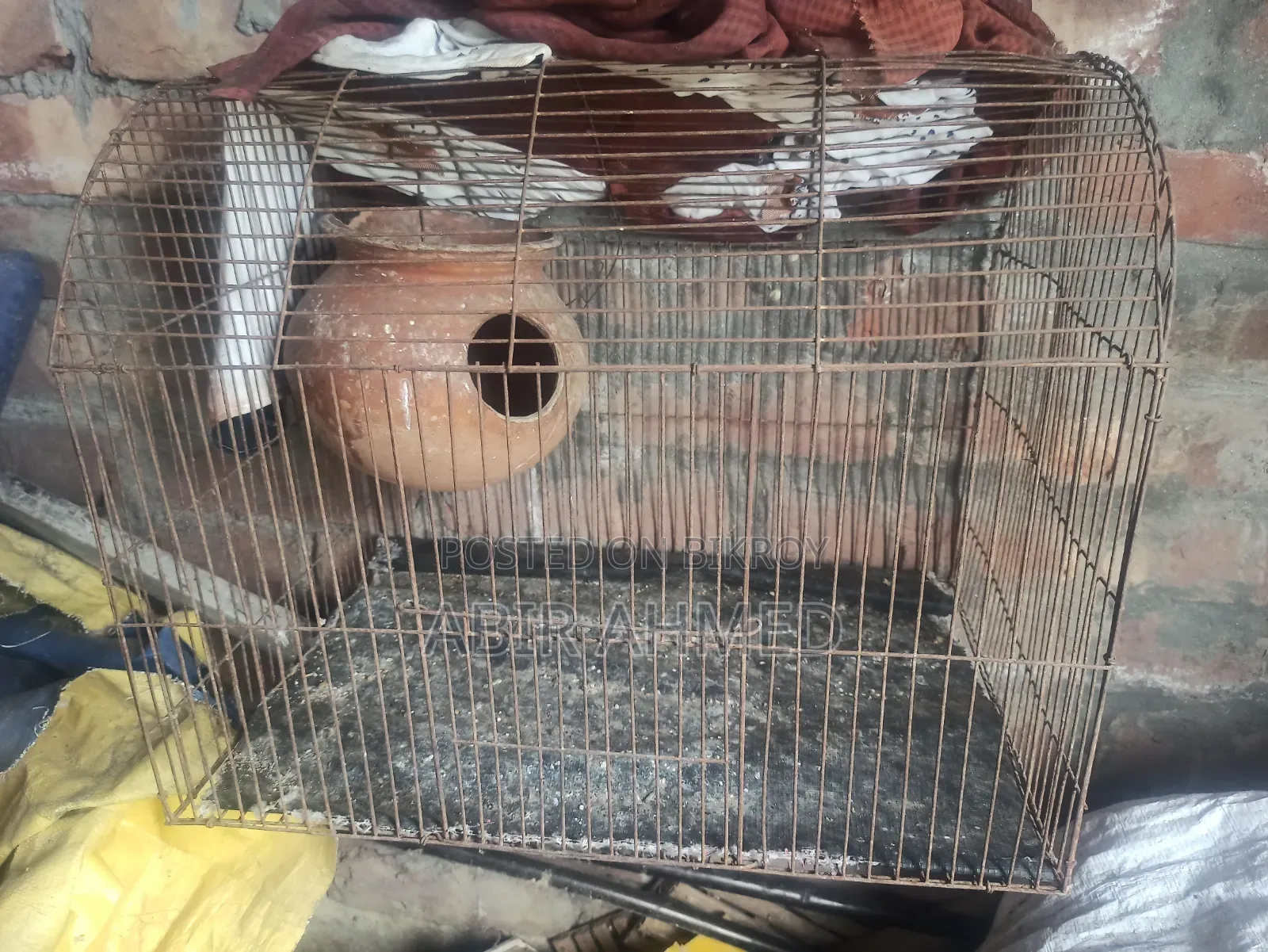 Bird Cage