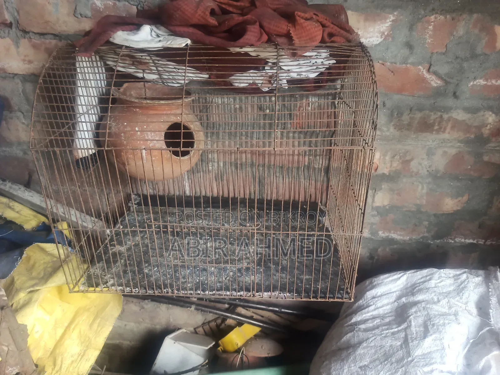 Bird Cage