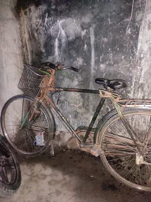 সাইকেলটা বিক্রি করা হবে, সবকিছু ঠিকঠাক,