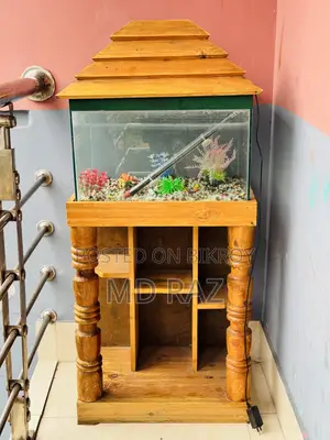 Decorative Glass Aquarium (with LED Light Accessories)