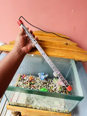 Decorative Glass Aquarium (with LED Light Accessories)