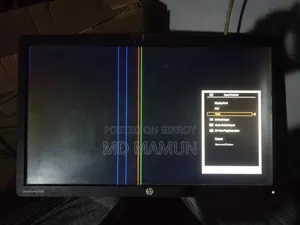 HP Monitor