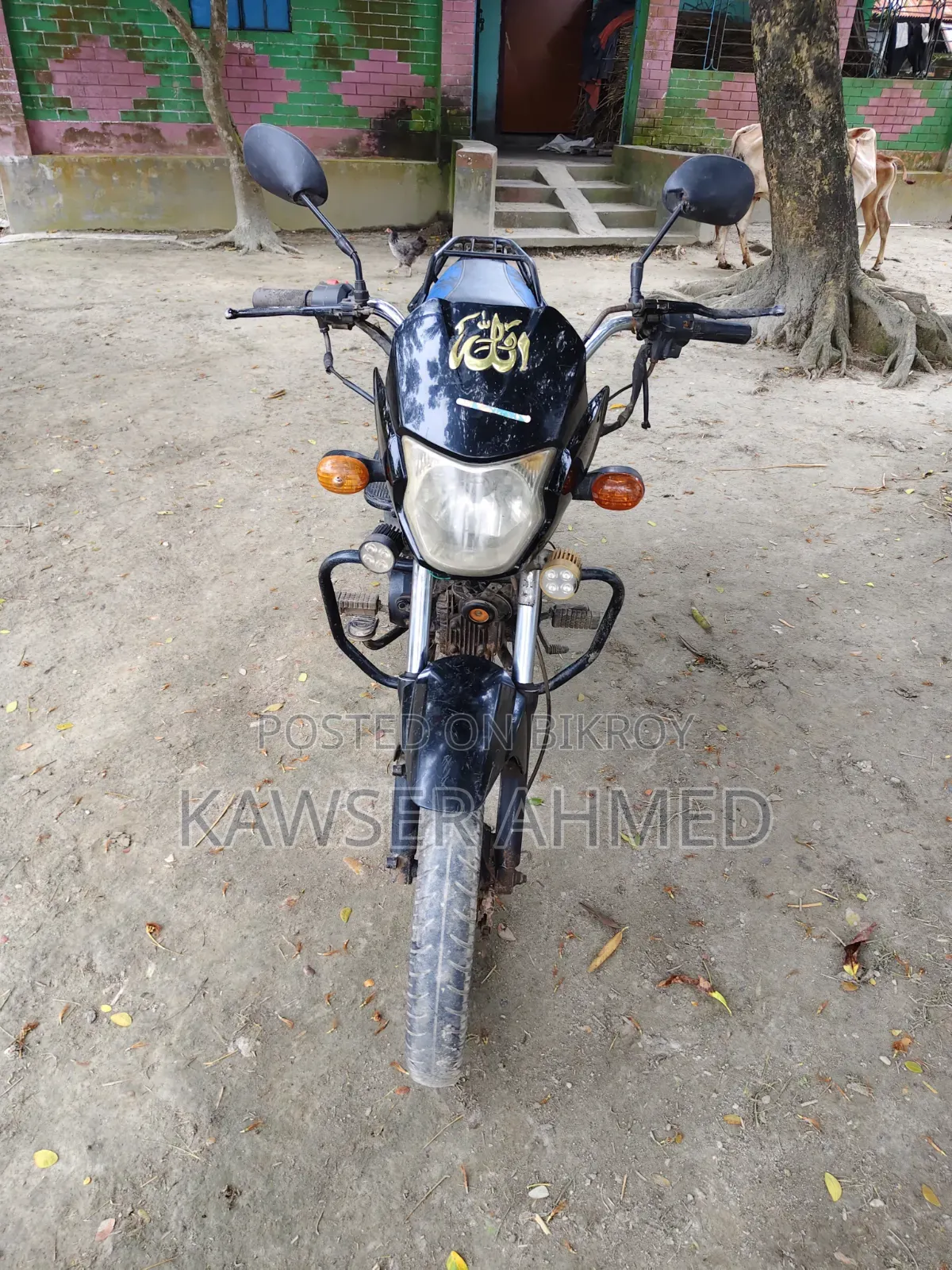 এইচ পাওয়ার জারা-১০০ ২০১৫ কালো